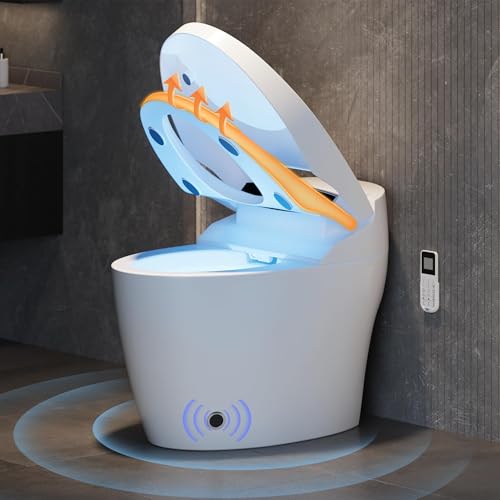 WC Broyeur intégré