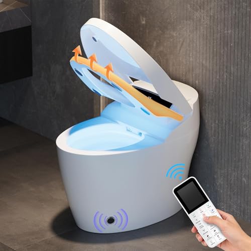WC Broyeur intégré